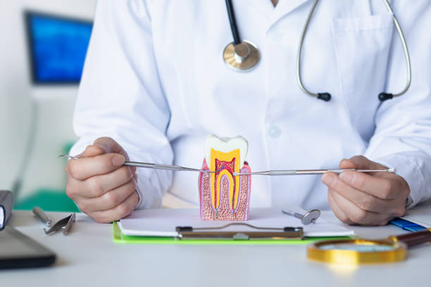 Best Weekend Emergency Dentist in Beckett Ridge, OH